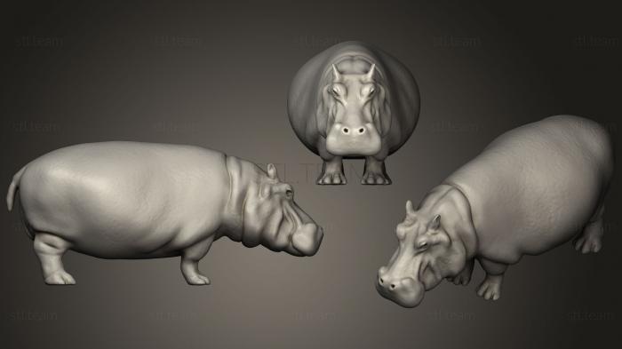 3D model Hippopotamus (STL)
